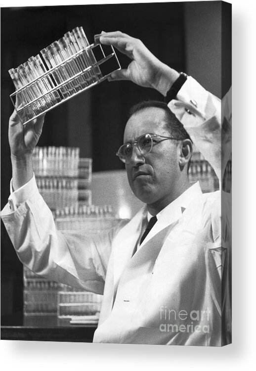 Polio Acrylic Print featuring the photograph Dr. Jonas Salk In Laboratory by Bettmann