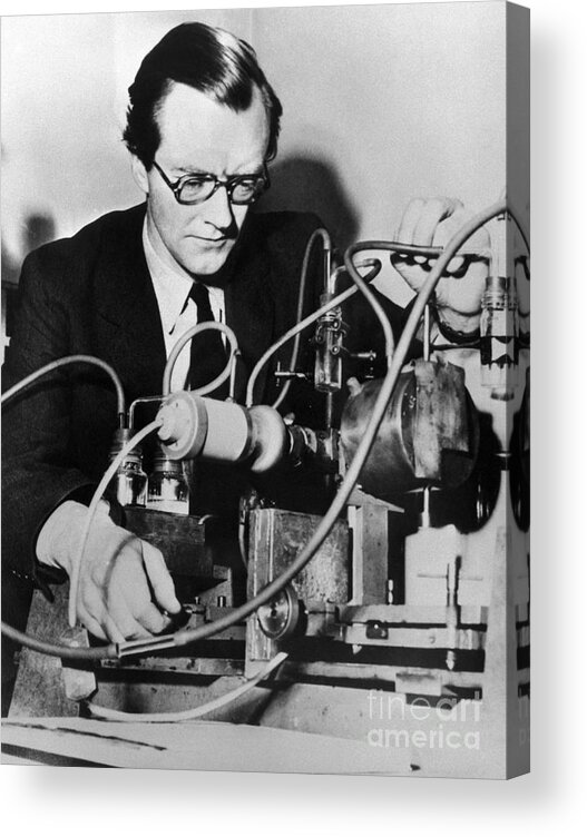 Working Acrylic Print featuring the photograph Dr. Maurice Wilkins Working by Bettmann