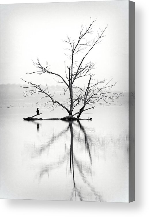 Reservoir Acrylic Print featuring the photograph Dry Tree Surrounded By Water And A by Jose A. Bernat Bacete
