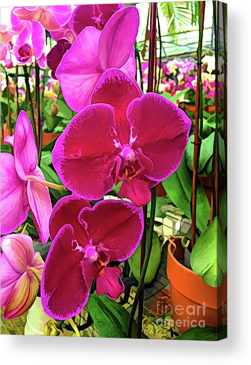 Orchid Flower Acrylic Print featuring the photograph Beautiful Exotic Orchid Artwork 01 by Carlos Diaz