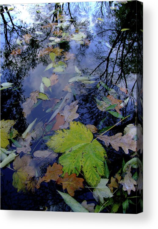 Tranquility Acrylic Print featuring the photograph Fall by Senchy