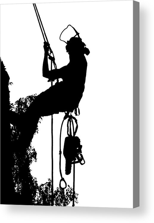 Arboriculture Acrylic Print featuring the digital art Female Tree Surgeon Silhouette by Roy Pedersen