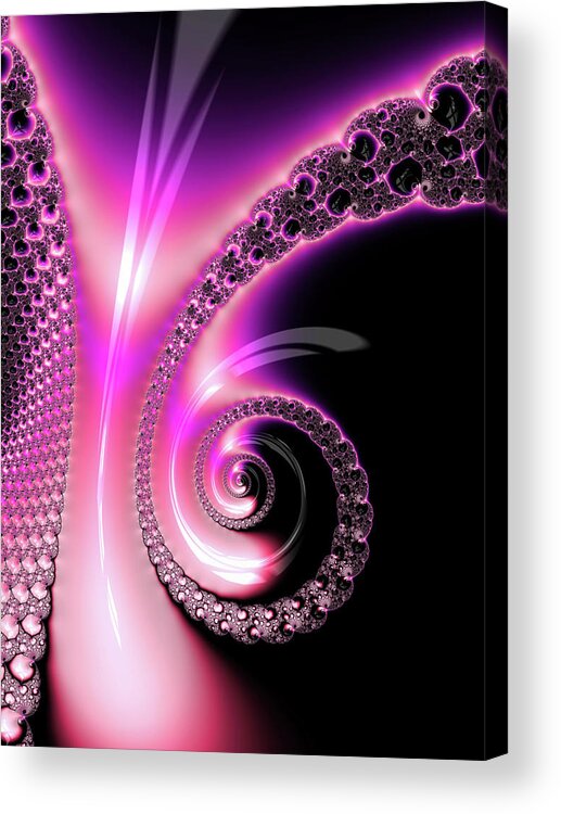 Spiral Acrylic Print featuring the photograph Fractal Spiral pink purple and black by Matthias Hauser