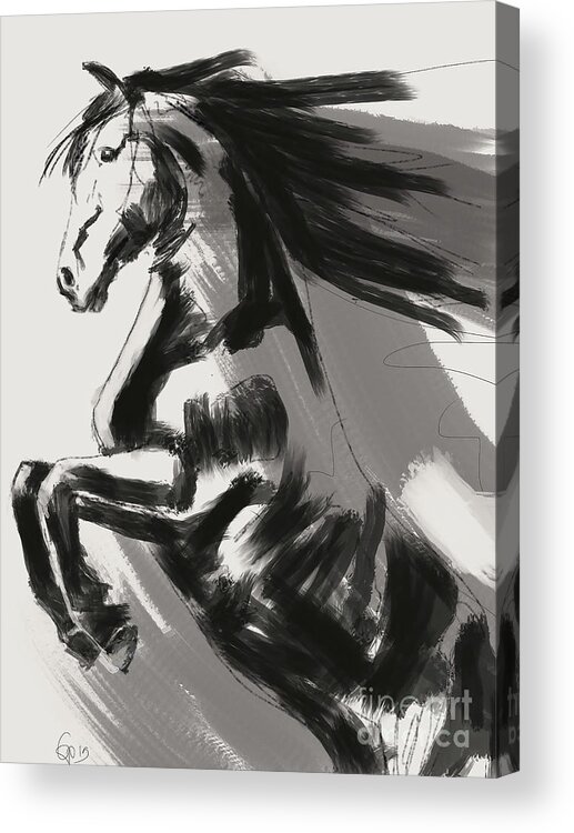 Black Rising Horse Acrylic Print featuring the painting Rising Horse by Go Van Kampen