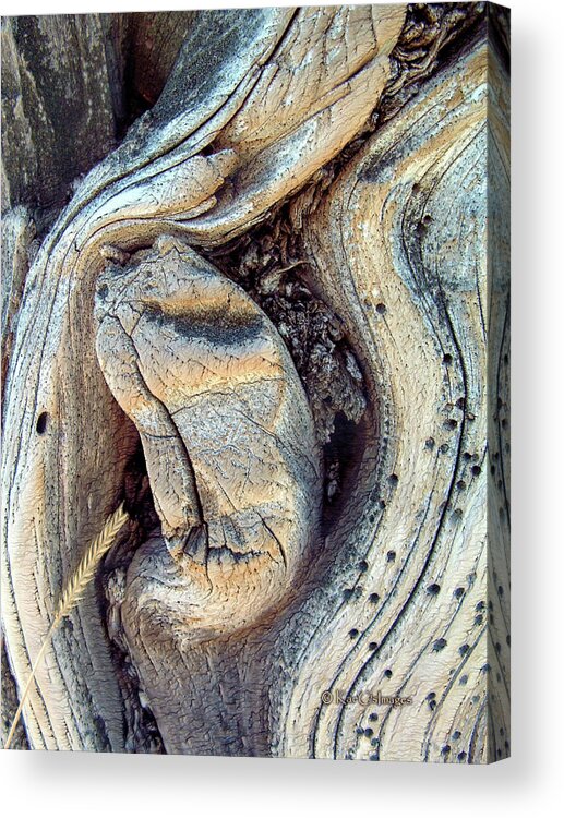 Nature Acrylic Print featuring the photograph Gnarled Wood Abstract by Kae Cheatham