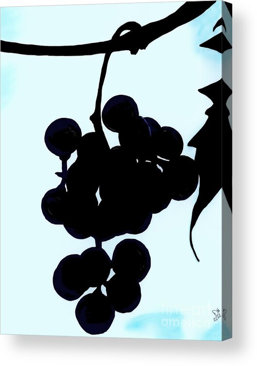 Grapes Acrylic Print featuring the drawing Grapes by D Hackett