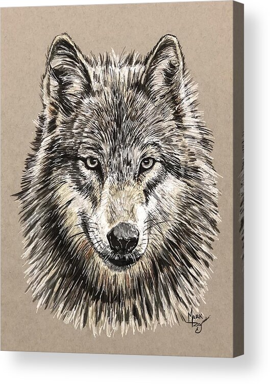 Wolf Acrylic Print featuring the painting Grey Wolf by Mark Ray