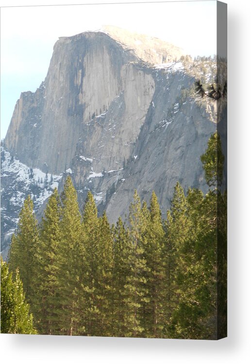 Half Dome Acrylic Print featuring the photograph Half Dome by FD Graham