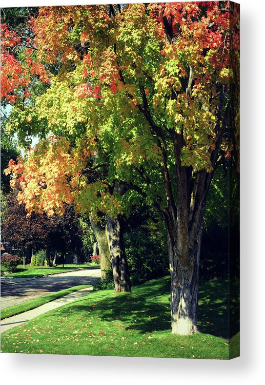 Her Beautiful Path Home Acrylic Print featuring the photograph Her Beautiful Path Home by Cyryn Fyrcyd