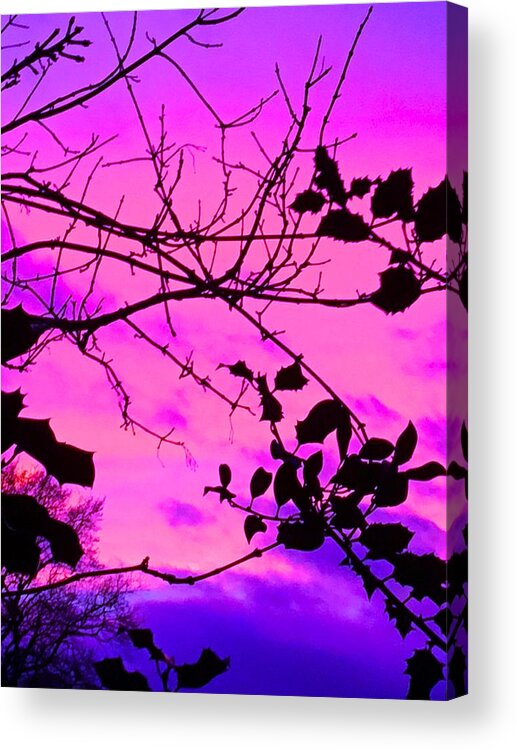 Landscape Acrylic Print featuring the photograph Holly tree sunset neon purple and pink by Itsonlythemoon -
