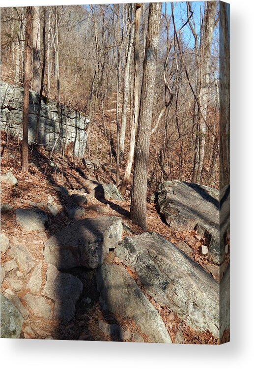 House Mountain Acrylic Print featuring the photograph House Mountain 1 by Phil Perkins