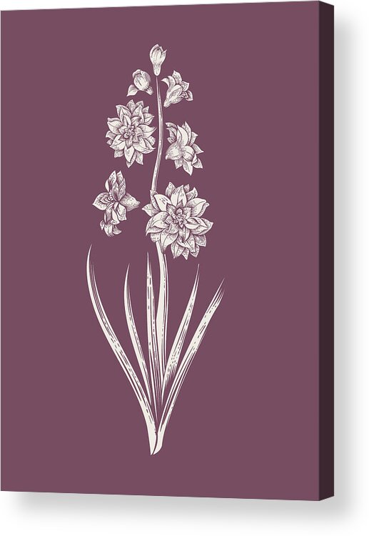 Hyacinth Acrylic Print featuring the mixed media Hyacinth Purple Flower by Naxart Studio