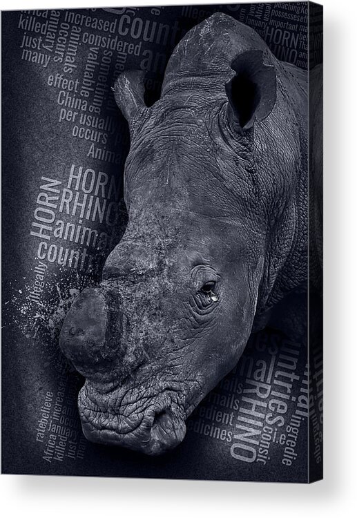 Rhino Acrylic Print featuring the photograph I Deserve Life by Corine Ross