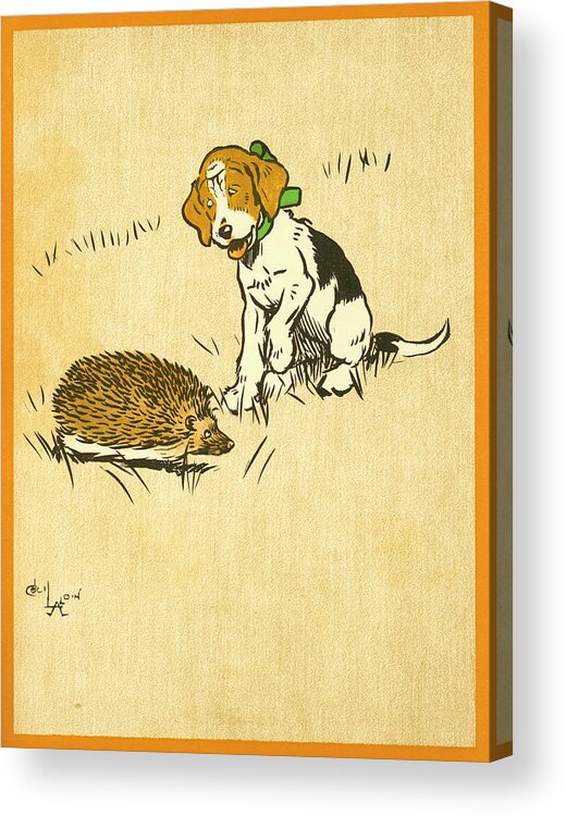 Book Illustration Acrylic Print featuring the drawing Puppy and Hedgehog, illustration of by Cecil Aldin