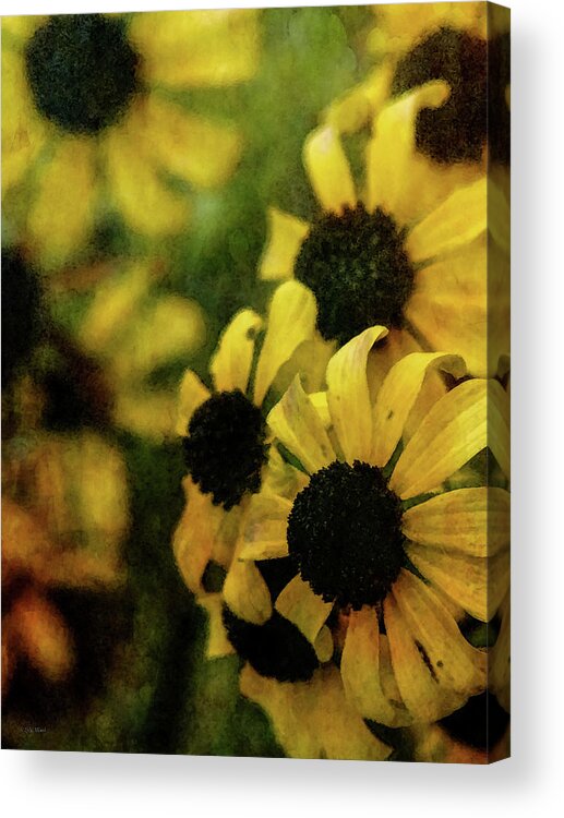 Impressionist Acrylic Print featuring the photograph In and Out 5175 IDP_2 by Steven Ward
