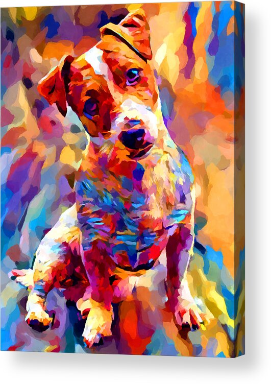 Jack Russell Terrier Acrylic Print featuring the painting Jack Russell Terrier 3 by Chris Butler
