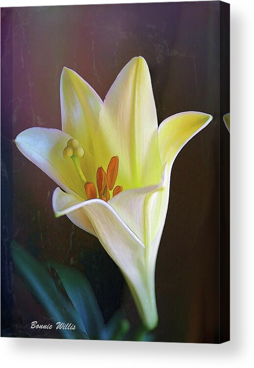 Lily Acrylic Print featuring the digital art Luscious Lily by Bonnie Willis