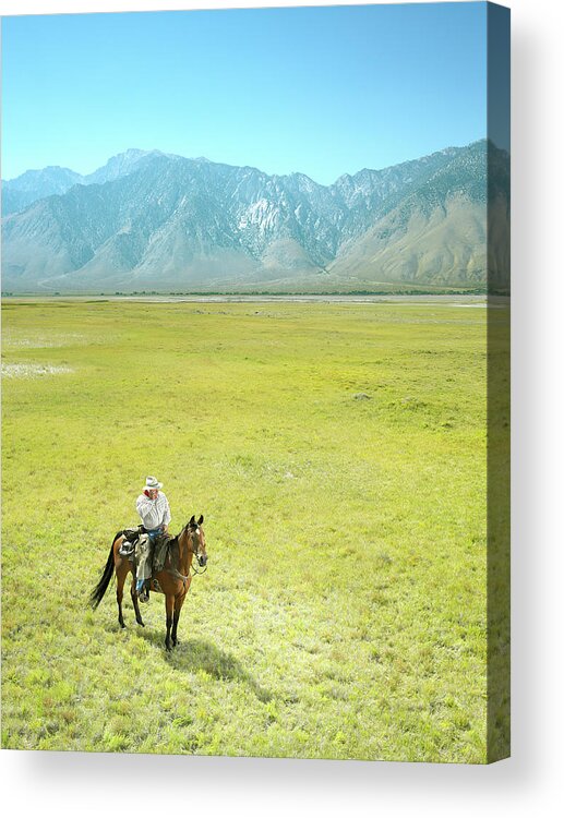 One Man Only Acrylic Print featuring the photograph Mature Cowboy On Arabian Horse Using by Stephen Swintek