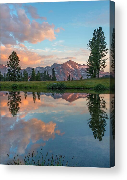 00574864 Acrylic Print featuring the photograph Mt. Dana Reflection, Tioga Pass by Tim Fitzharris