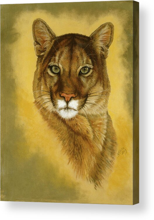 Cougar Acrylic Print featuring the painting Mystical Encounter by Barbara Keith