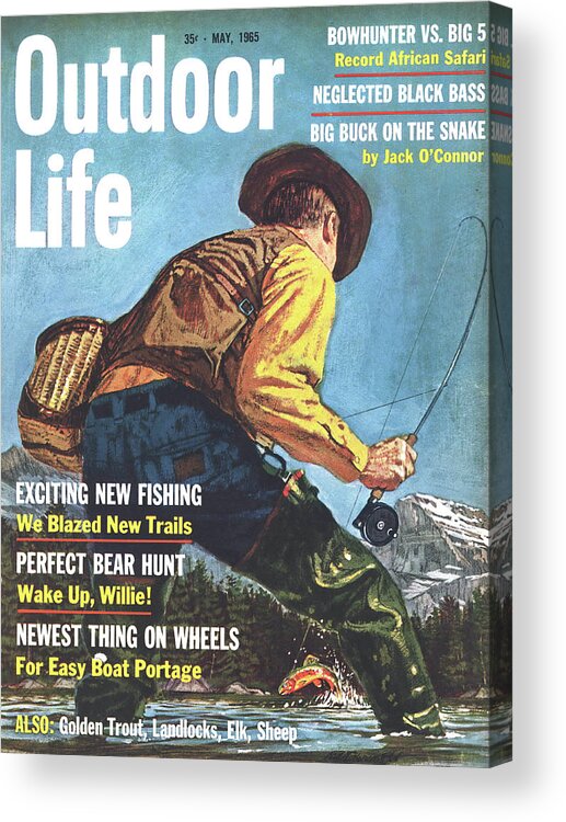Trout Acrylic Print featuring the drawing Outdoor Life Magazine Cover May 1965 by Outdoor Life