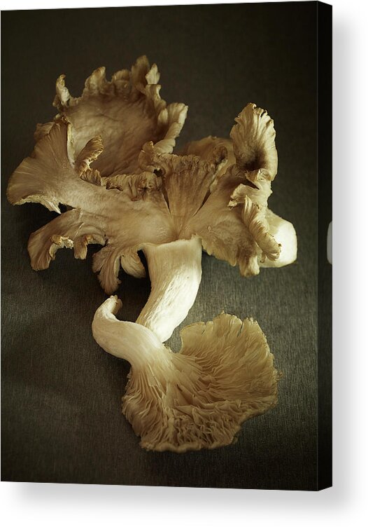 Edible Mushroom Acrylic Print featuring the photograph Oyster Mushrooms Still Life by Carin Krasner