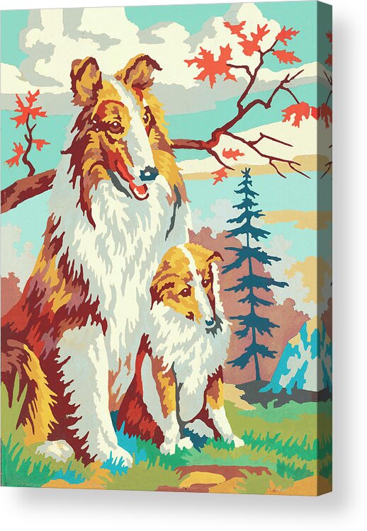 Animal Acrylic Print featuring the drawing Paint-by-numbers collie by CSA Images