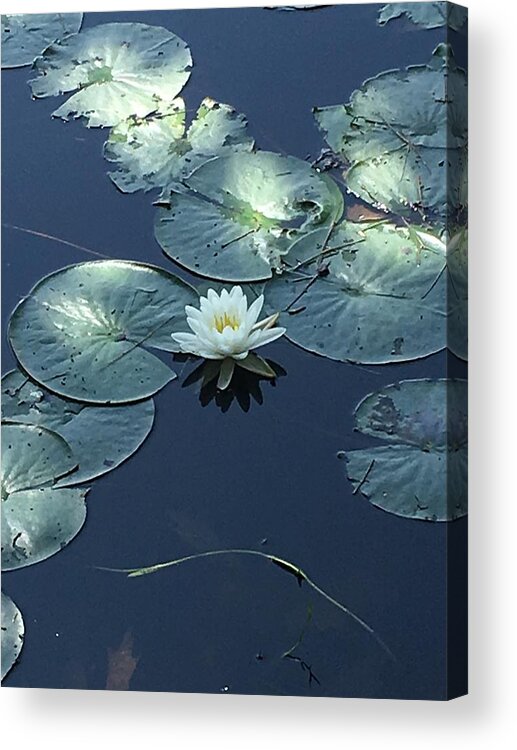 Nature Acrylic Print featuring the photograph Peace in the Present by Anjel B Hartwell