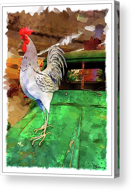 Rooster Acrylic Print featuring the photograph Perched by Peggy Dietz