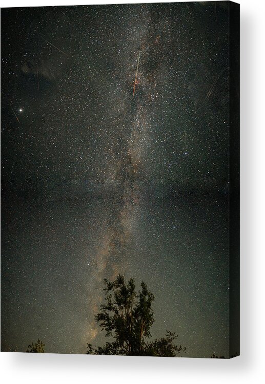 Canada Acrylic Print featuring the photograph Perseids Meteor Shower by Raghuvamsh Chavali