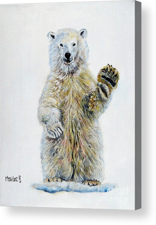 Polar Acrylic Print featuring the painting Polar Bear Baby by Marilyn McNish
