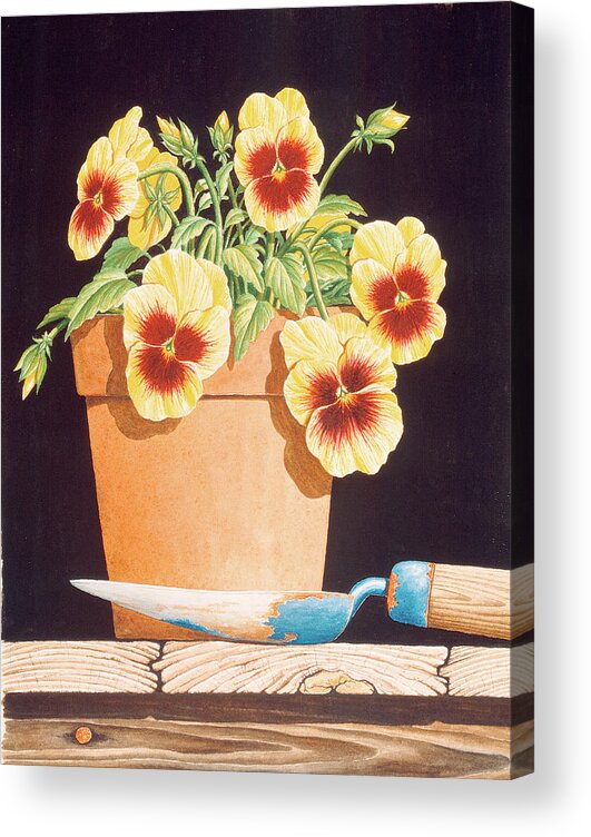 Pansies Acrylic Print featuring the painting Potted Pansies by Dempsey Essick