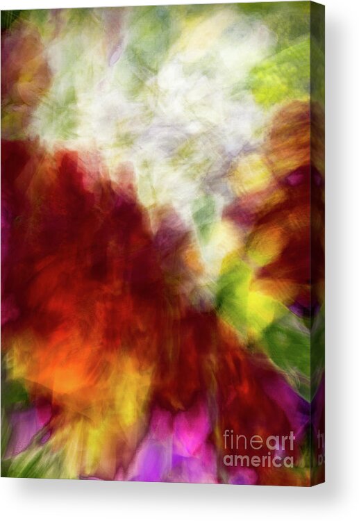 Abstract Acrylic Print featuring the photograph Red and white flower motion abstract by Phillip Rubino