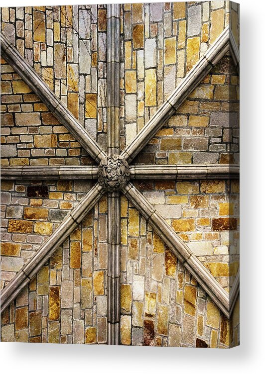 The University Of Michigan Acrylic Print featuring the photograph Looking up by Greg Croasdill