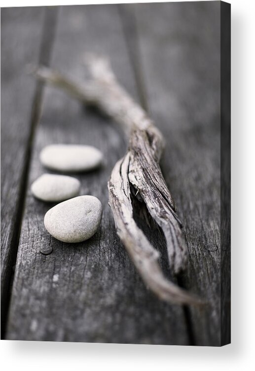 Gotland Acrylic Print featuring the photograph Scandinavia, Sweden, Gotland, Driftwood by Johner Images