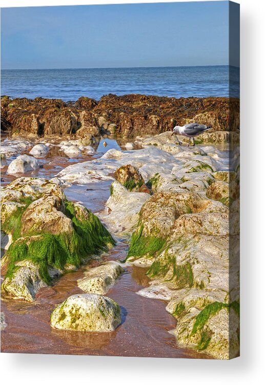 Seascape Acrylic Print featuring the photograph Searching The Coastal Rock Pools by Gill Billington