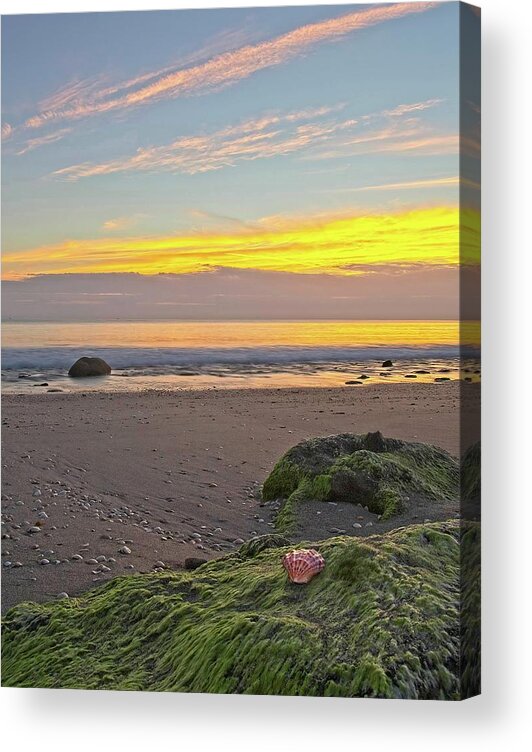 Sunrise Acrylic Print featuring the photograph Shells On The Beach 2 by Steve DaPonte