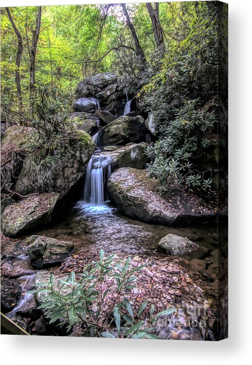 South Mountain State Park Acrylic Print featuring the digital art Small Waterfall at South Mountain State Park by Amy Dundon