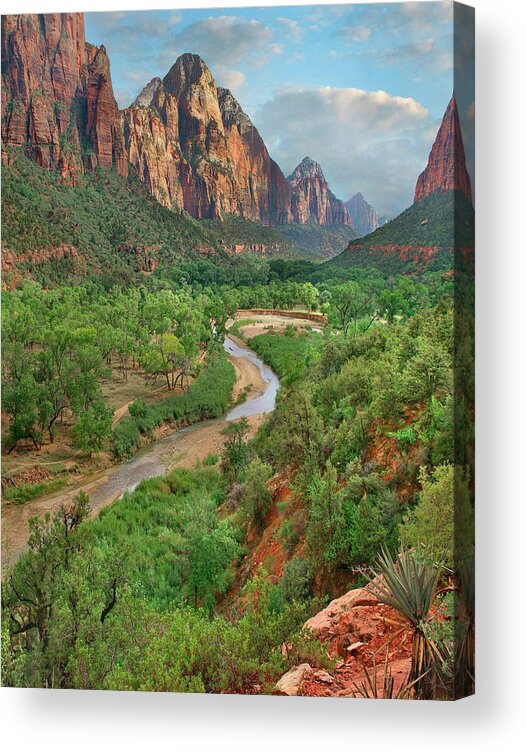 Blue Sky Acrylic Print featuring the photograph Snake River In Zion Canyon by Tim Fitzharris