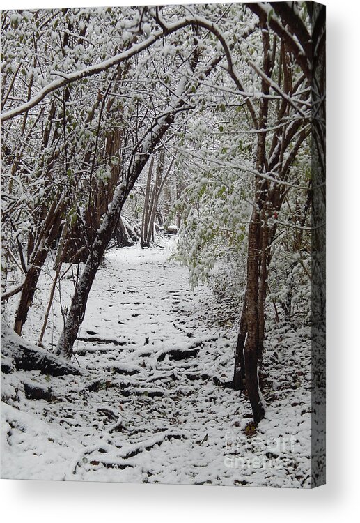 Trail Acrylic Print featuring the photograph Snow In The Woods by Phil Perkins