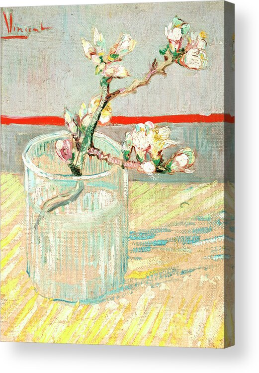 Curve Acrylic Print featuring the drawing Sprig Of Flowering Almond Blossom by Print Collector