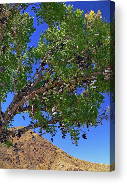 Trees Acrylic Print featuring the photograph Strange Fruit by David Bailey
