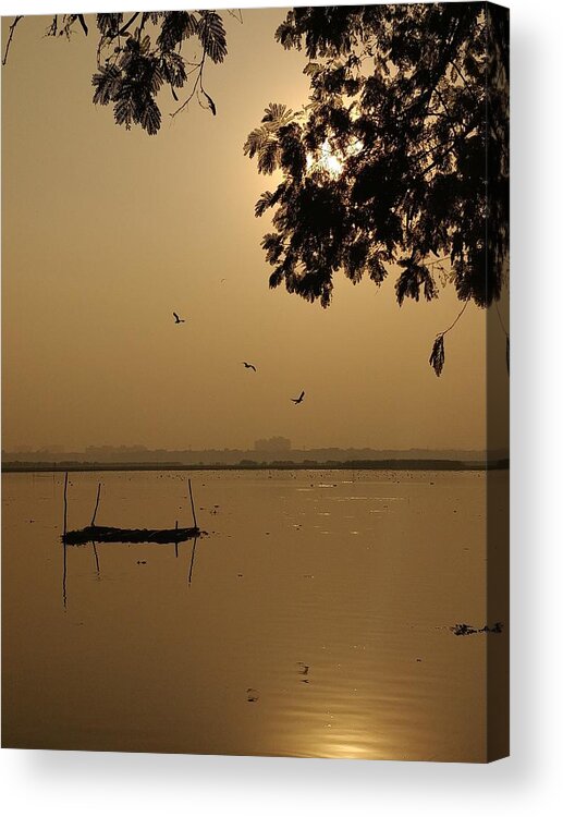 Sunset Acrylic Print featuring the photograph Sunset by Priya Hazra