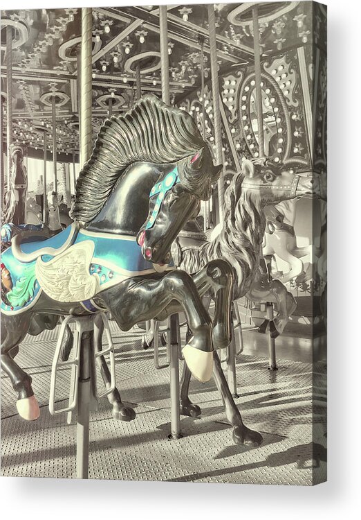 Amusement Acrylic Print featuring the photograph The Black Stallion by JAMART Photography