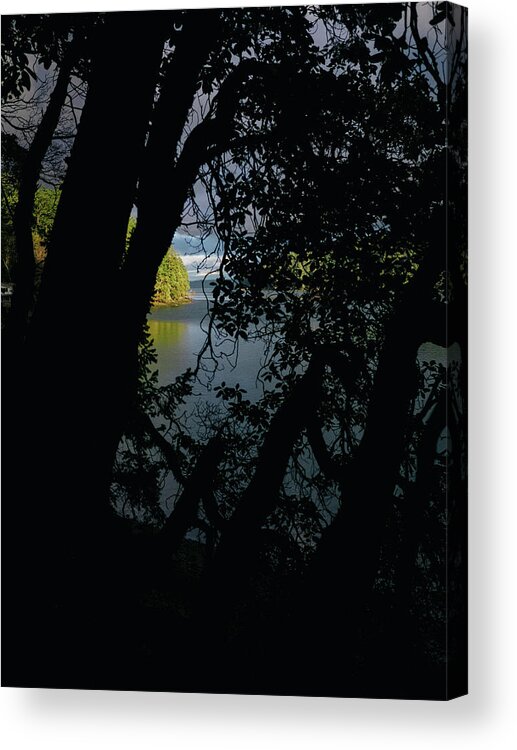 Deception Pass Acrylic Print featuring the photograph The Island by Lynn Wohlers