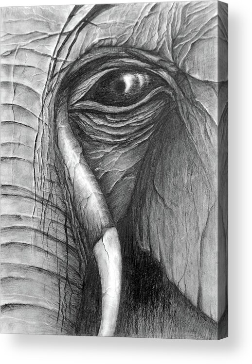  Beautiful Acrylic Print featuring the drawing The Wise Look by Medea Ioseliani