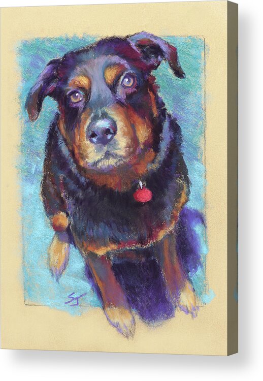 Rottweiler Acrylic Print featuring the painting Those Eyes by Susan Jenkins