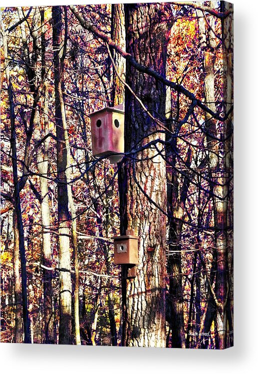 Autumn Acrylic Print featuring the photograph Two Birdhouses in the Autumn Woods by Susan Savad