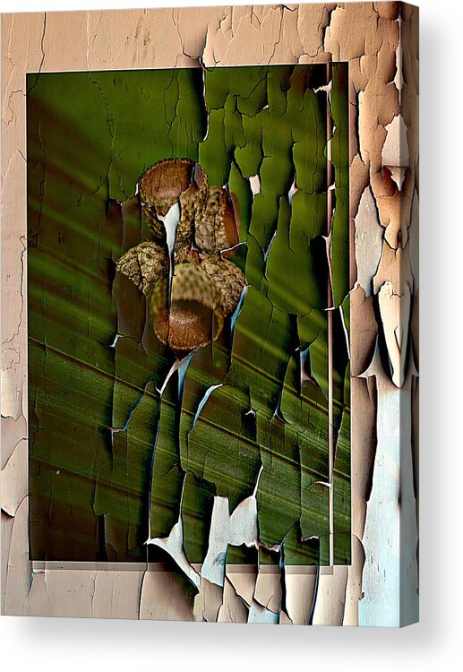 Wall Acrylic Print featuring the photograph Undefined by Eduardo Llerandi