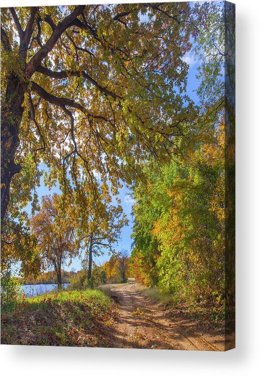 00544890 Acrylic Print featuring the photograph Autumn Lake and Trees by Tim Fitzharris